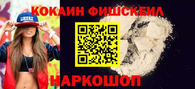 крисы Можга