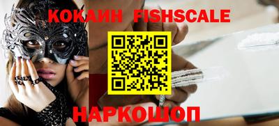 крисы Можга