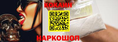 крисы Можга