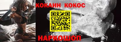 крисы Можга