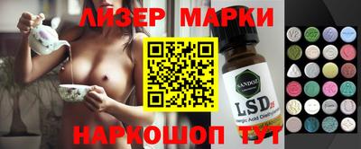 крисы Можга