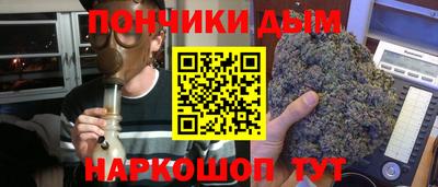 крисы Можга
