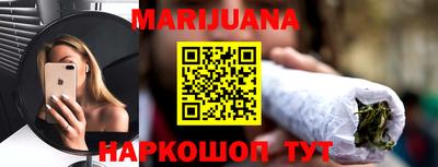 крисы Можга