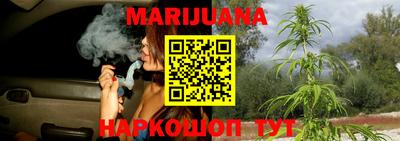 крисы Можга
