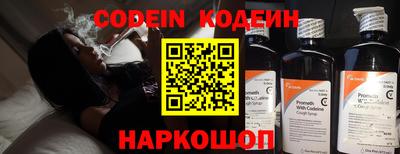 крисы Можга