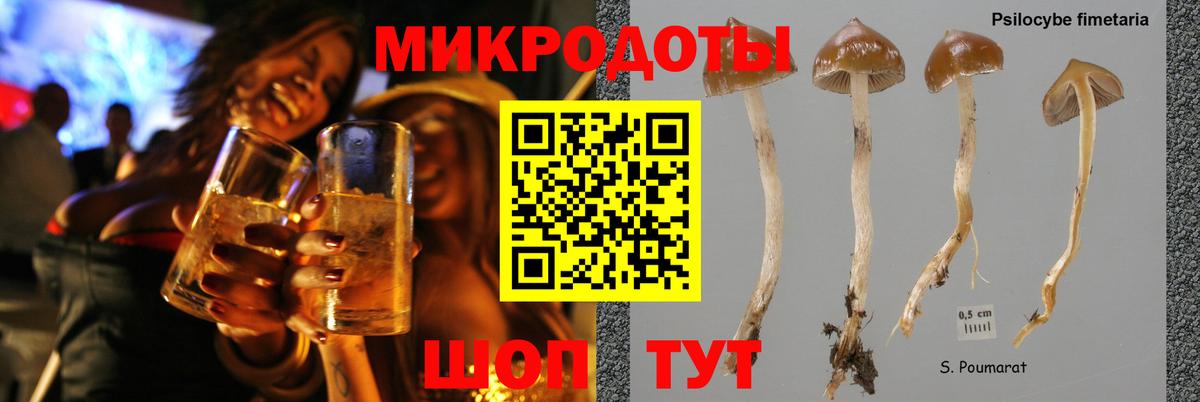Псилоцибиновые грибы GOLDEN TEACHER Барабинск